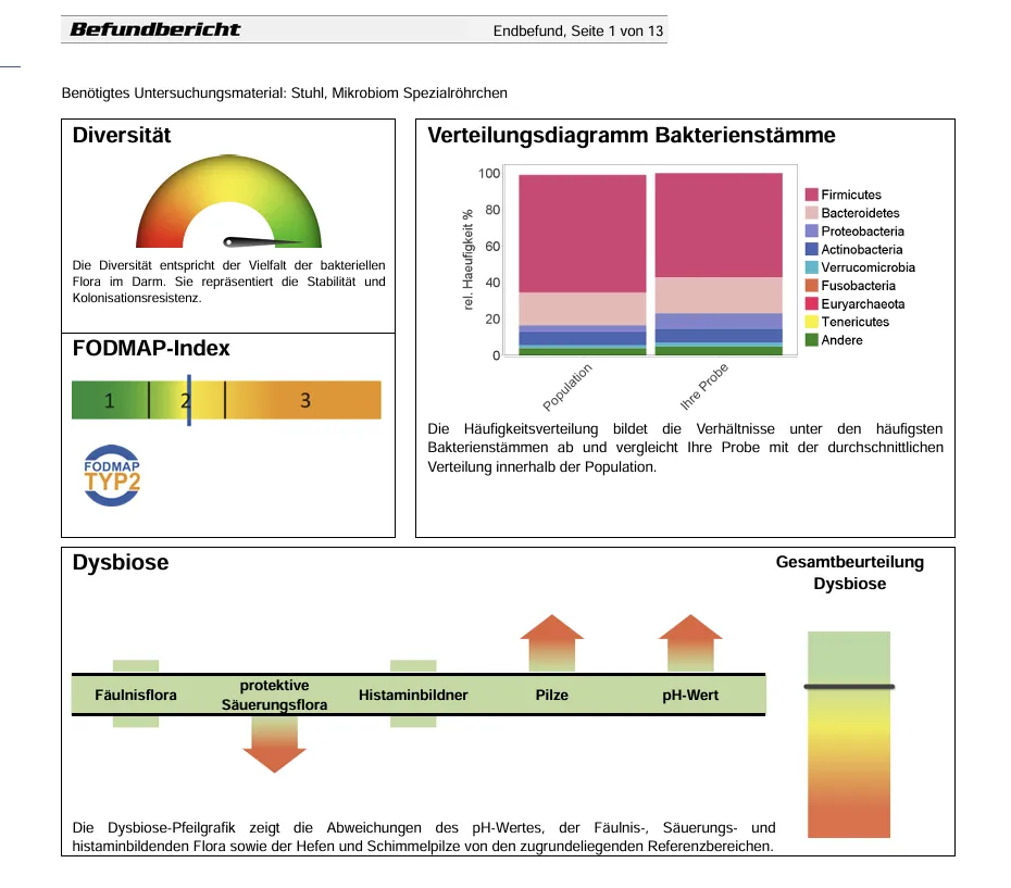 Ausschnitt aus einem anonymisierten Mikrobiom-Befund: Diversität, FODMAP-Index, Verteilung der Bakterienstämme und Dysbiose-Übersicht